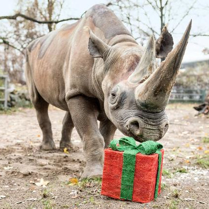 Ticket- und Erlebnisgutscheine